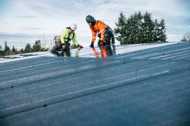 Trusted Metal Roofing service in Dumont, CO - Ben Roofing and Steel LLC